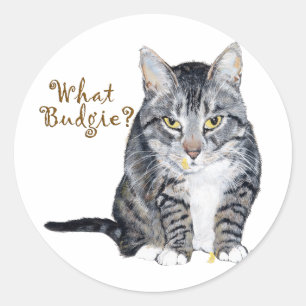Sticker Rond Chat Tigre Demande : Quel Perruche ?