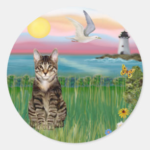 Sticker Rond Chat (tigré) - Phare