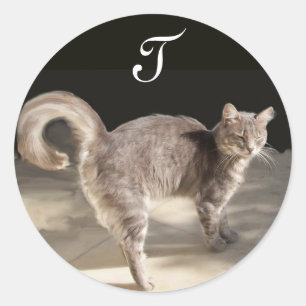Sticker Rond CHAT TURQUE MONogramme