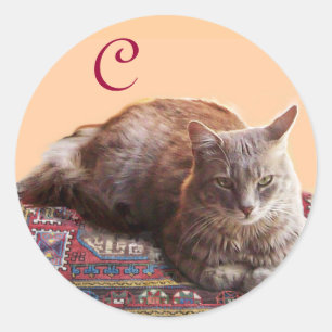 STICKER ROND CHAT TURQUE SUR L'ANCIEN MONOGRAMME DE MOQUETTE
