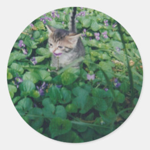 STICKER ROND CHATON AVEC LE SOURIRE VIOLET