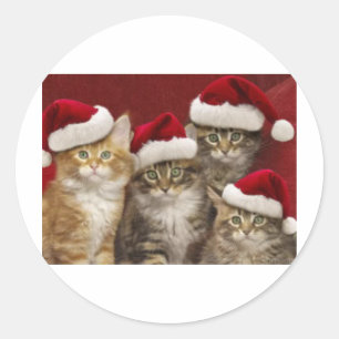 Sticker Rond Chats de Noël