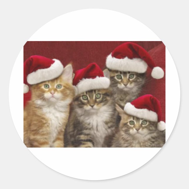 Sticker Rond Chats de Noël (Devant)