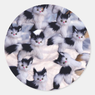 Sticker Rond chats déplaisants