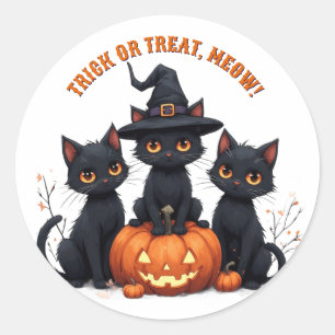 Sticker Rond Chats noirs kawaii dans un champ de citrouilles Ha