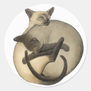 Sticker Rond Chats siamois affectueux