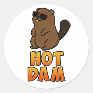 Sticker Rond Chaud Dam Funky Cool Beaver Pun