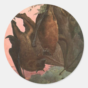 Sticker Rond Chauves-souris renards volantes par Austen, Animau
