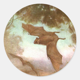 Sticker Rond Chauves-souris vampires par CE Swan, Animaux sauva
