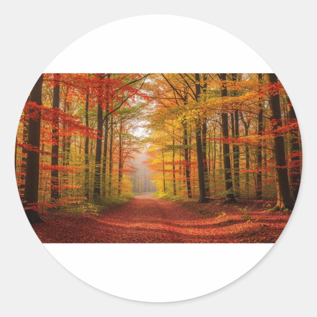 Sticker Rond Chemin de la forêt d'automne (Devant)