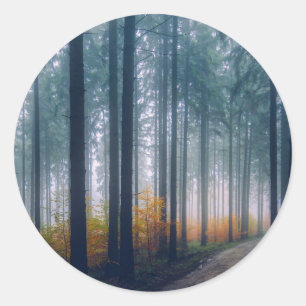 Sticker Rond Chemin forestier Majestic