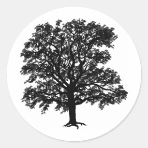 Sticker Rond Chêne