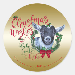 Sticker Rond CHÈQUE   voeux de Noël Bébé Chèvre Baisers Pygmée