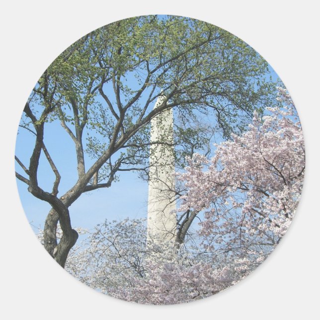 Sticker Rond Cherry Blossoms et le monument de Washington à DC (Devant)