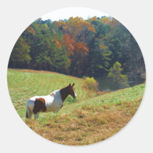 Sticker Rond Cheval blanc et Brown, étang d'automne