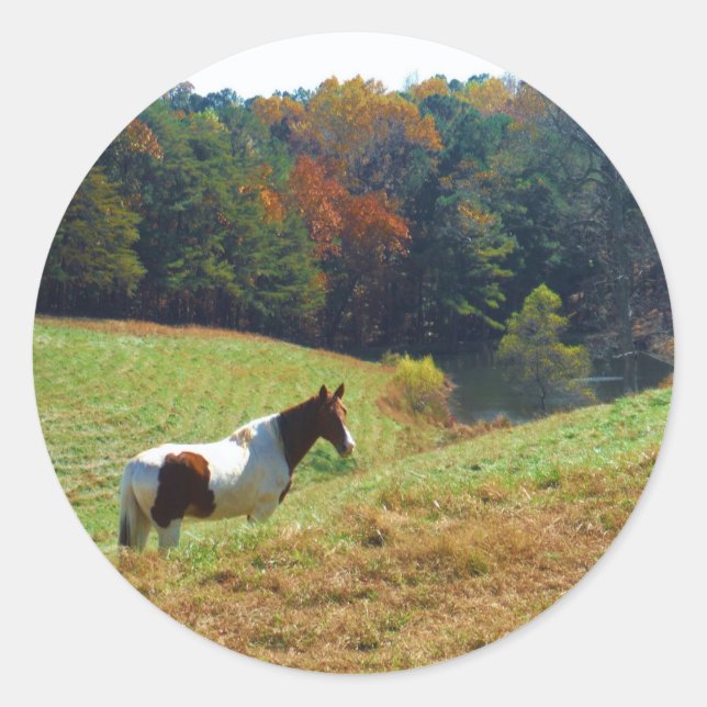 Sticker Rond Cheval blanc et Brown, étang d'automne (Devant)
