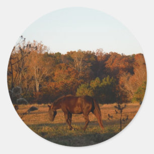 Sticker Rond Cheval Brown rouge, bois d'automne.