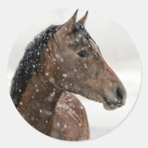 Sticker Rond Cheval de baie en neige douce