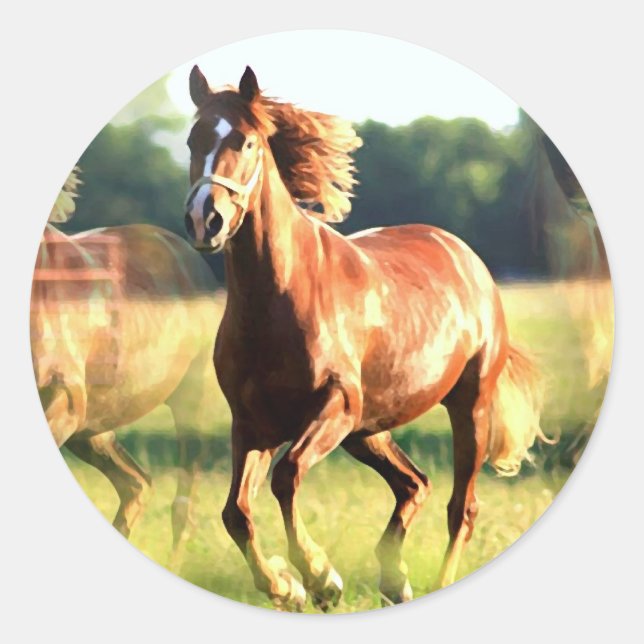Sticker Rond Cheval de course (Devant)