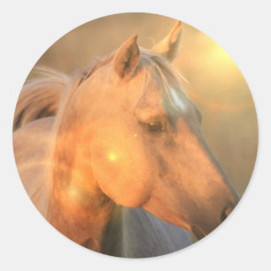 Sticker Rond Cheval de palomino dans l'autocollant léger