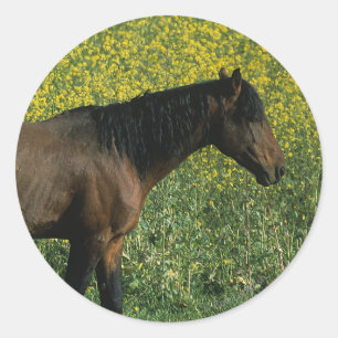 Sticker Rond Cheval Mustang sauvage debout en fleurs