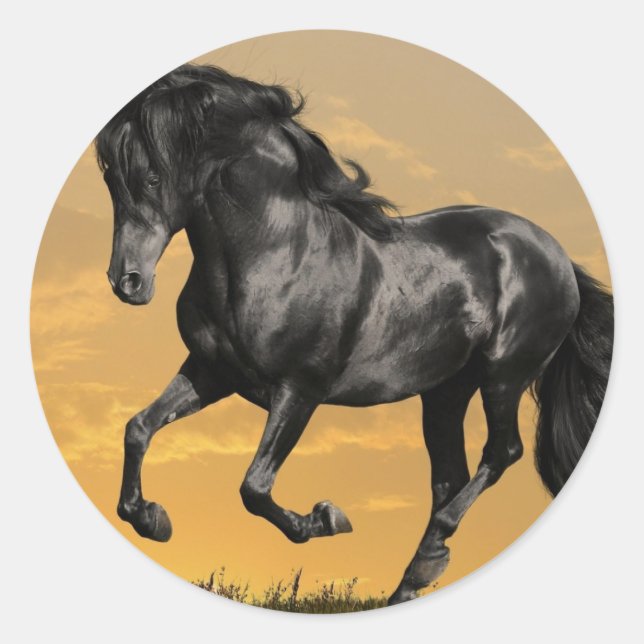 Sticker Rond Cheval noir (Devant)