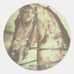 Sticker Rond Cheval saddlebred
