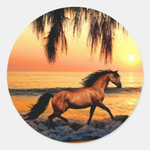 Sticker Rond Cheval sur la plage au coucher du soleil