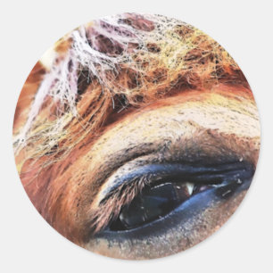 STICKER ROND CHEVAUX