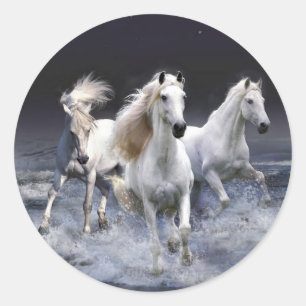 Sticker Rond Chevaux blancs majestueux