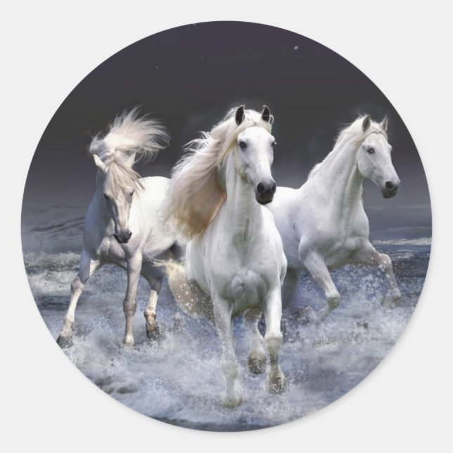 Sticker Rond Chevaux blancs majestueux (Devant)