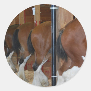 Sticker Rond Chevaux de Clydesdale