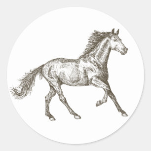 Sticker Rond Chevaux de l'Ouest Equestre Pays Cheval Rustique