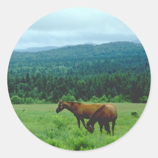 Sticker Rond Chevaux de pâturage avec fond de montagne (Devant)