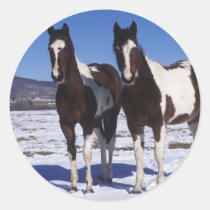 Sticker Rond Chevaux de peinture debout dans la neige