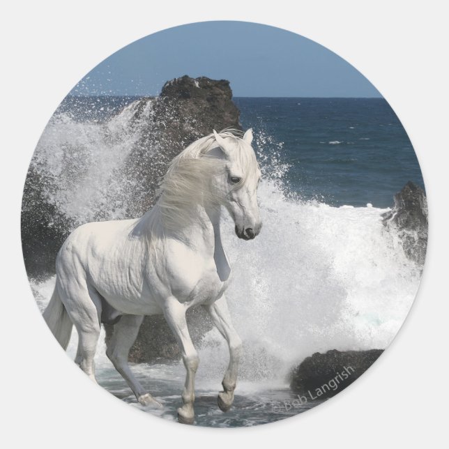 Sticker Rond Chevaux d'Imaginaire : Mer du Sud (Devant)