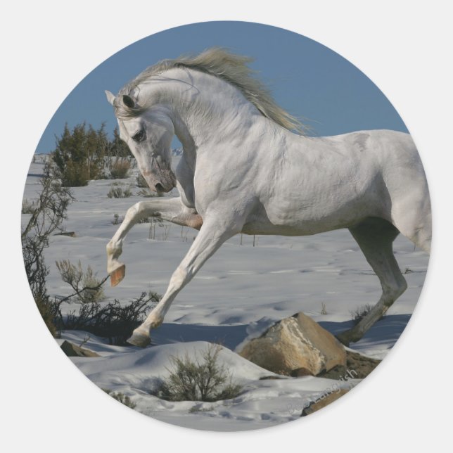 Sticker Rond Chevaux d'Imaginaire : Roi de neige (Devant)
