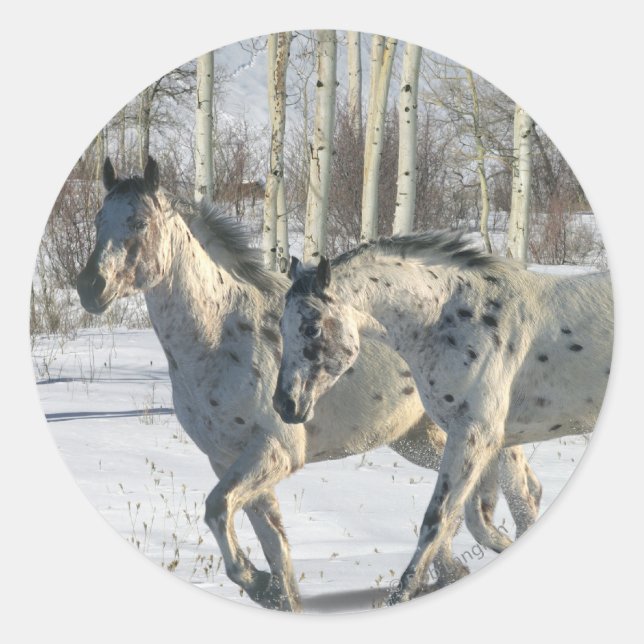 Sticker Rond Chevaux d'Imaginaire : Wonderland d'hiver (Devant)