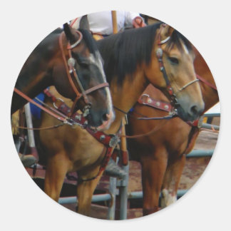 Sticker Rond Chevaux en ligne