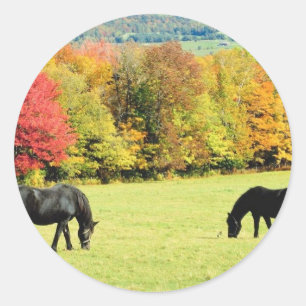 Sticker Rond Chevaux noirs en automne