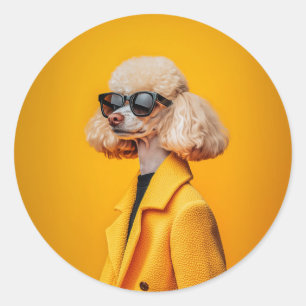 Sticker Rond Chic Poodé en lunettes de soleil et manteau jaune