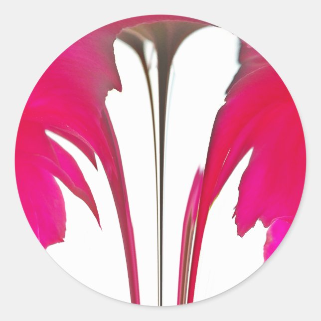 Sticker Rond Chic rouge extraordinaire rose sous le ciel blanc. (Devant)