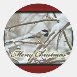 Sticker Rond Chickadee noir de Noël en neige