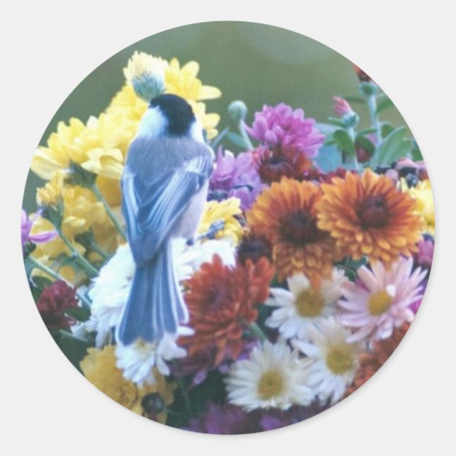 STICKER ROND CHICKADEE SUR MUMS (Devant)