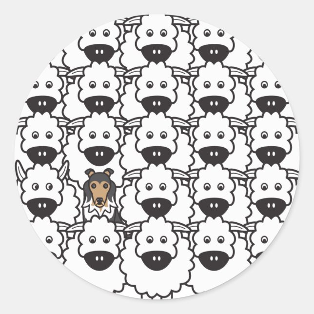 Sticker Rond Chien à mouton de Shetland dans le mouton (Devant)