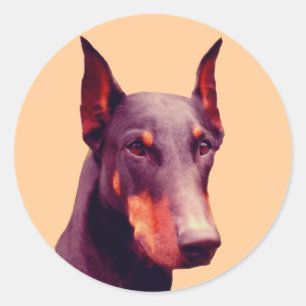 Sticker Rond Chien à visage Doberman