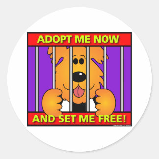 Sticker Rond Chien-abri