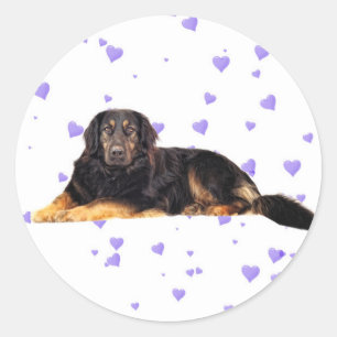 Sticker Rond Chien aux Coeurs pourpres en chute
