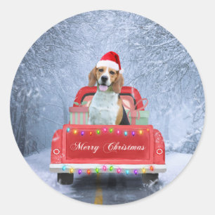 Sticker Rond Chien beagle en neige assis dans un camion de Noël