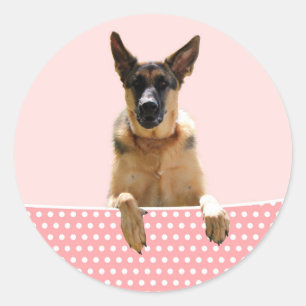 Sticker Rond Chien berger allemand Pois roses